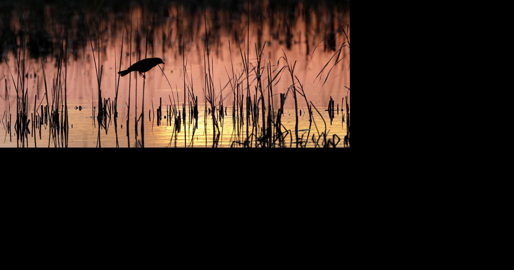 Judge blocks rules intended to protect nation's waterways