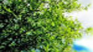 Stafford Hospital S Online Service To Reduce Er Wait Times Archives Dailyprogress Com