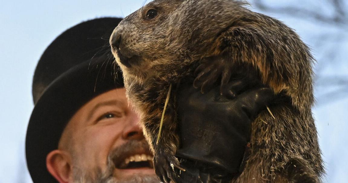 Marlene Condon: No happy Groundhog Day for the groundhog