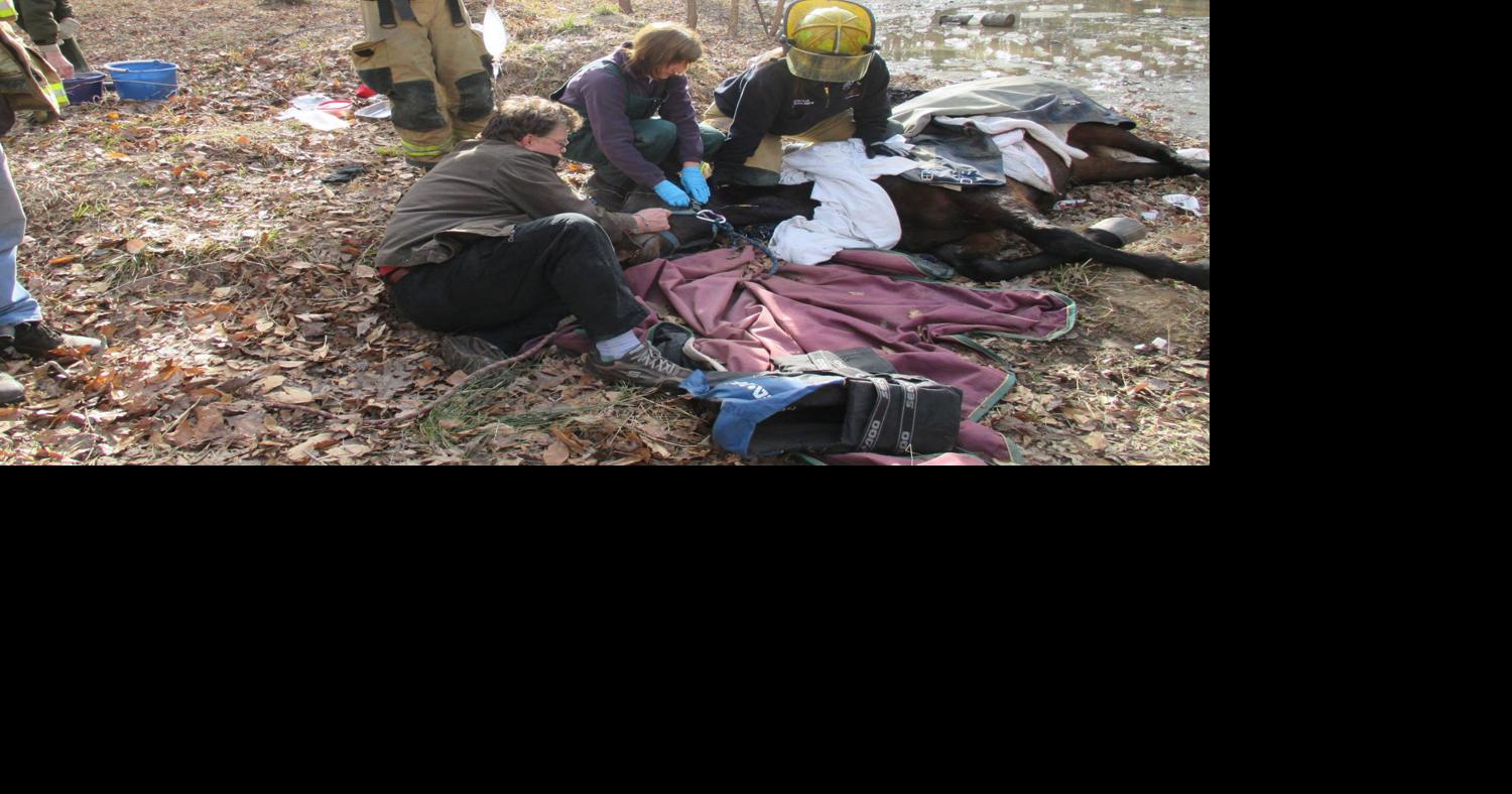 Little Fork VFD helped save the horse