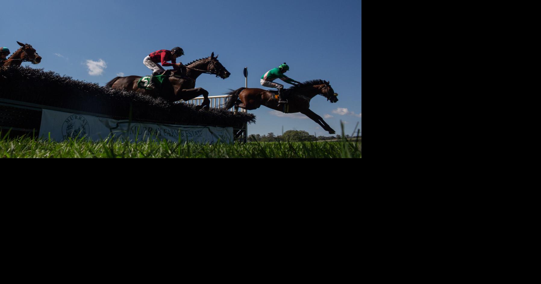 Family-friendly Foxfield Fall Races draws nearly 4K, not including 500 ...