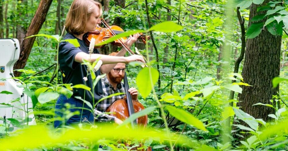 Schedule shift adds variety to Wintergreen Music Festival weekends