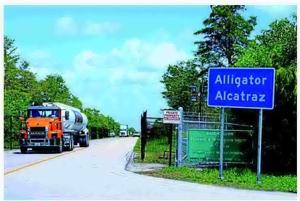 More migrants are facing long waits in US detention