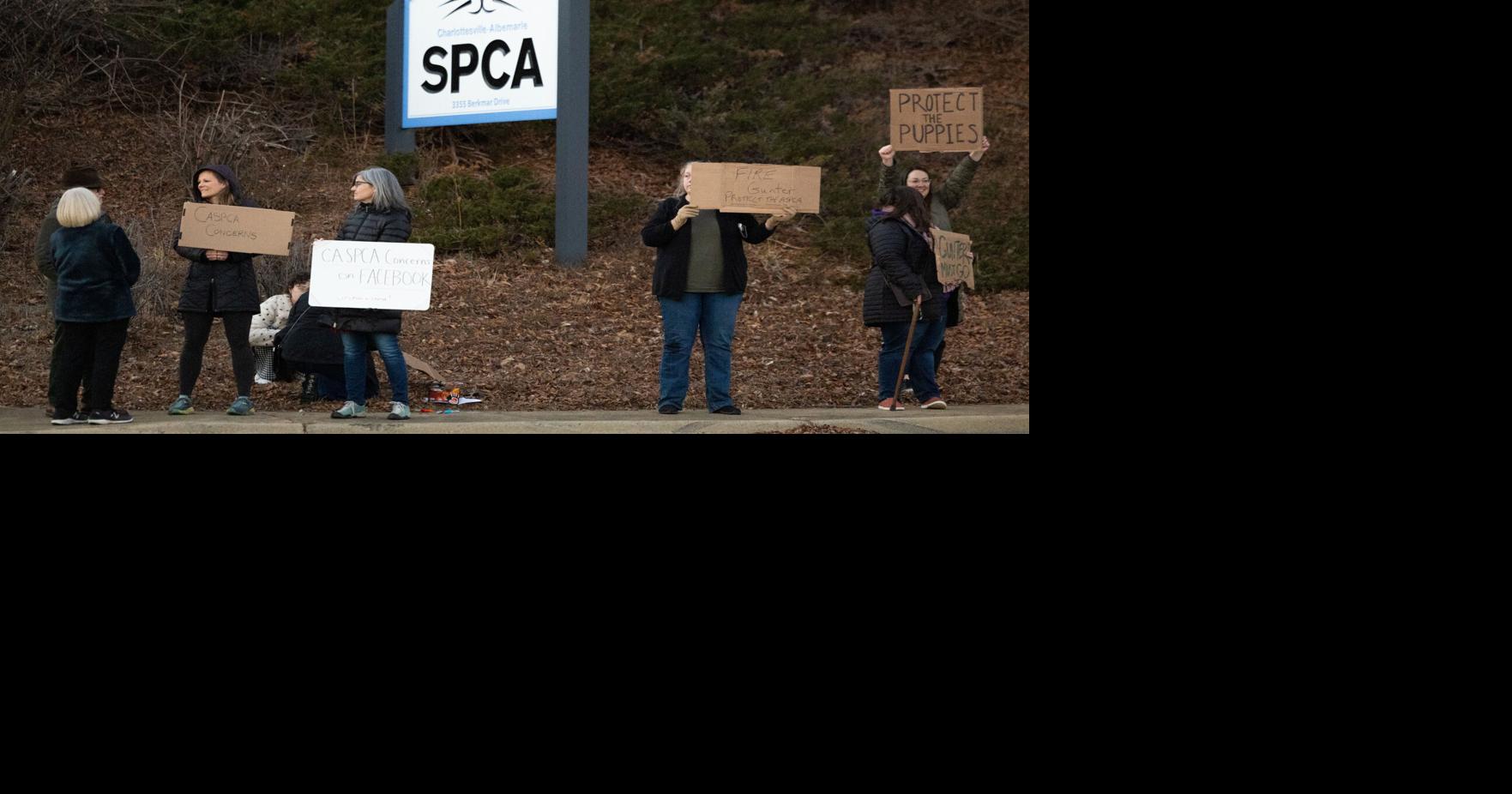 CASPCA hires international law firm to investigate allegations