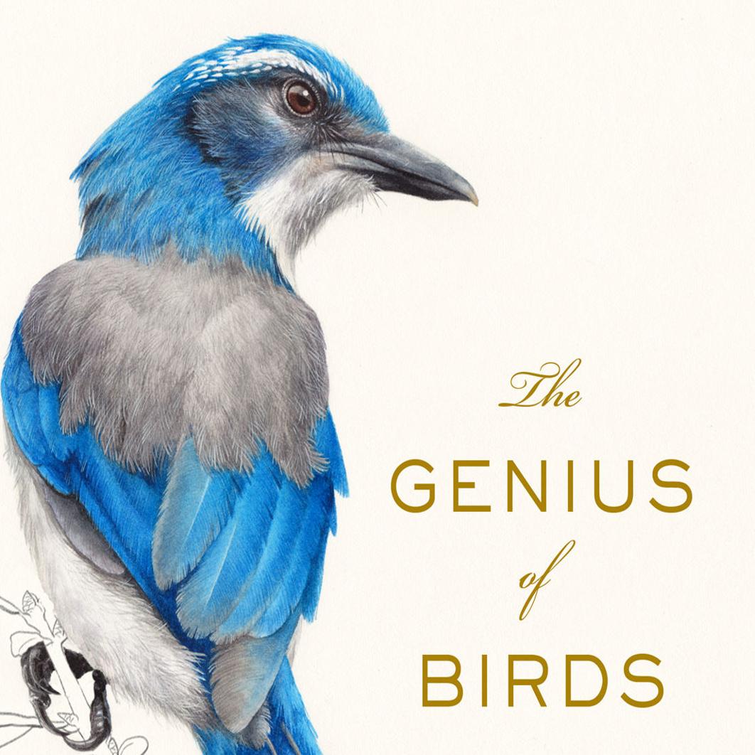The Genius Of Birds Is Latest Feather In Author Jennifer