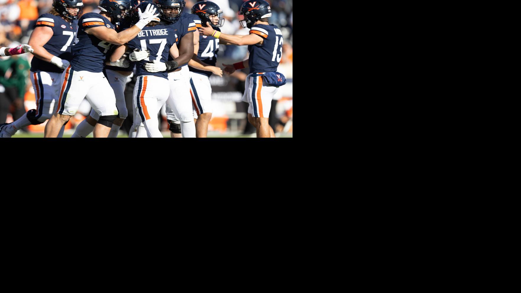UVa baseball roster breakdown Cavaliers have good blend of youth and