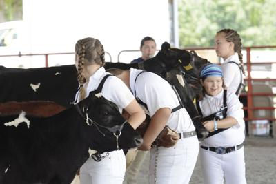2019 Orange County Fair