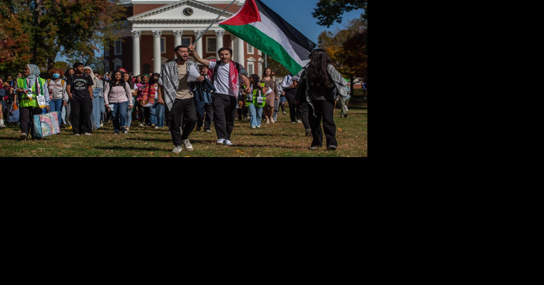Pro-Palestine, divestment protests resume at UVa