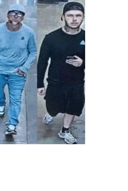 Walmart thieves