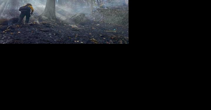 High winds, low humidity hurting firefighting efforts at Quaker Run Fire - Vimarsana News