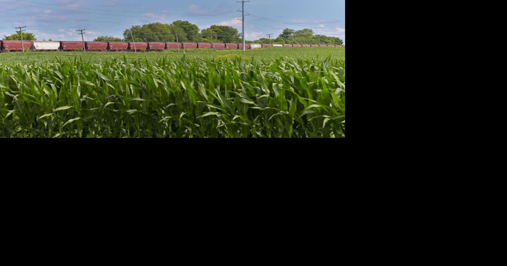 ANALYSIS US rail fuel surcharges on grain hit record highs, squeezing farmers in harvest season Tim McLaughlin, Lisa Baertlein and Julie Ingwersen Reuters Sep 14, 2026 2 hrs ago