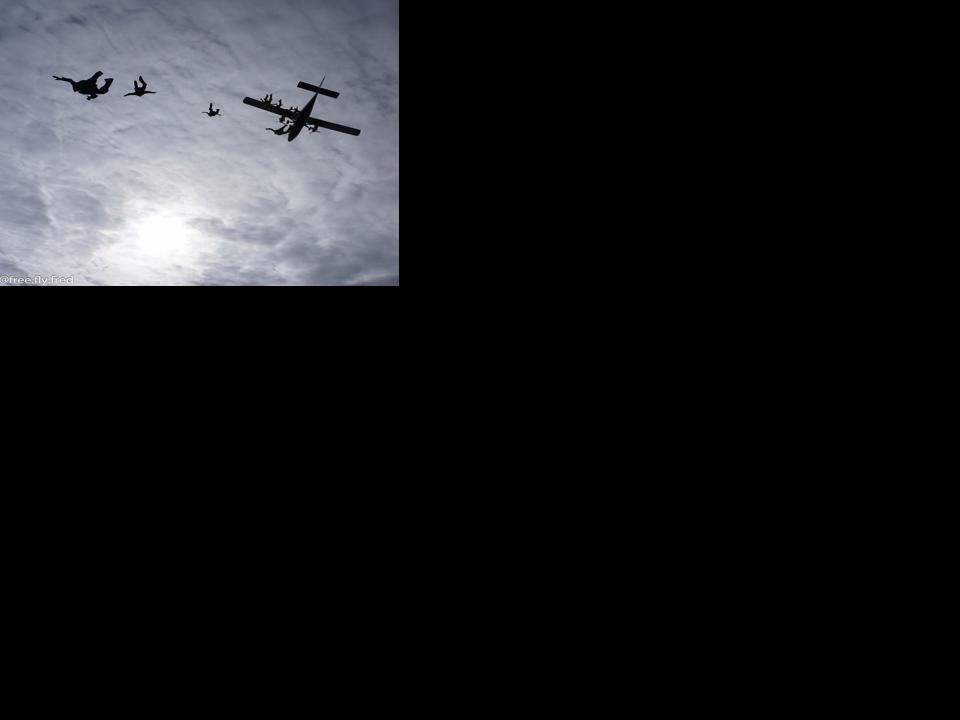 Skydive Orange (copy)