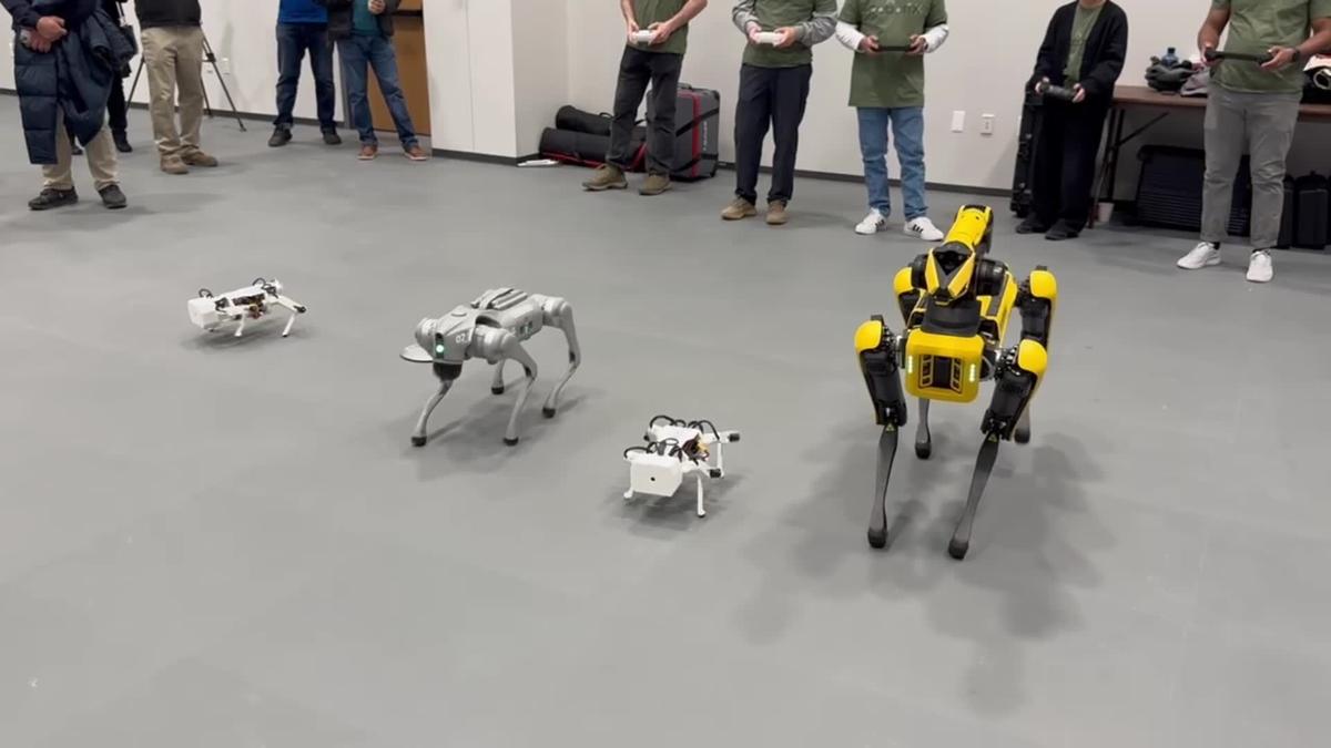 Virginia college grads competing with AI having trouble getting jobs
