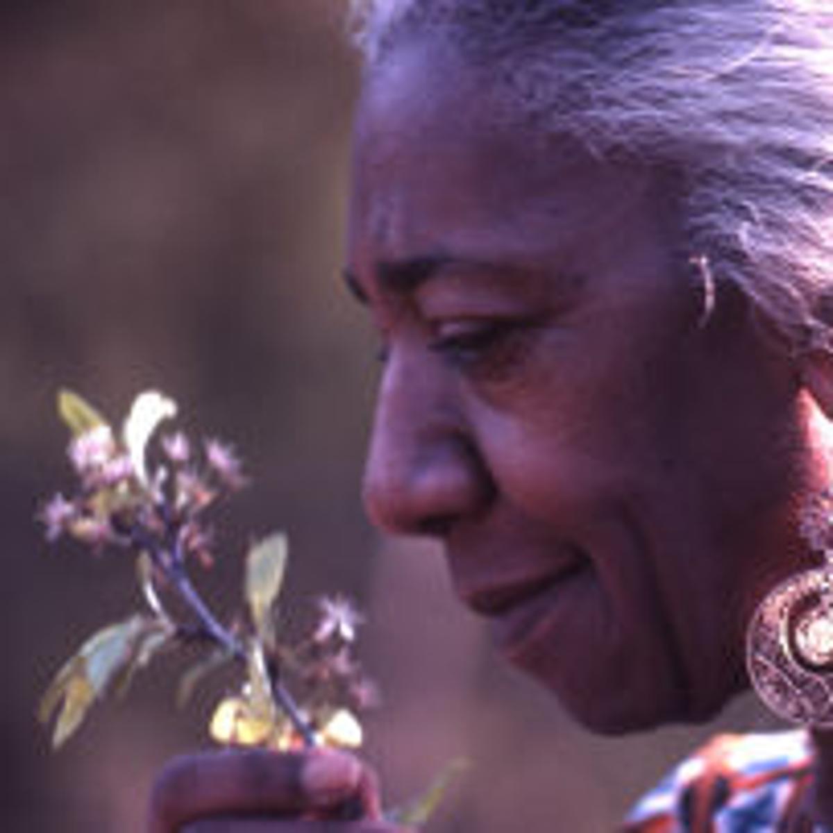 In Season: The Edna Lewis Story