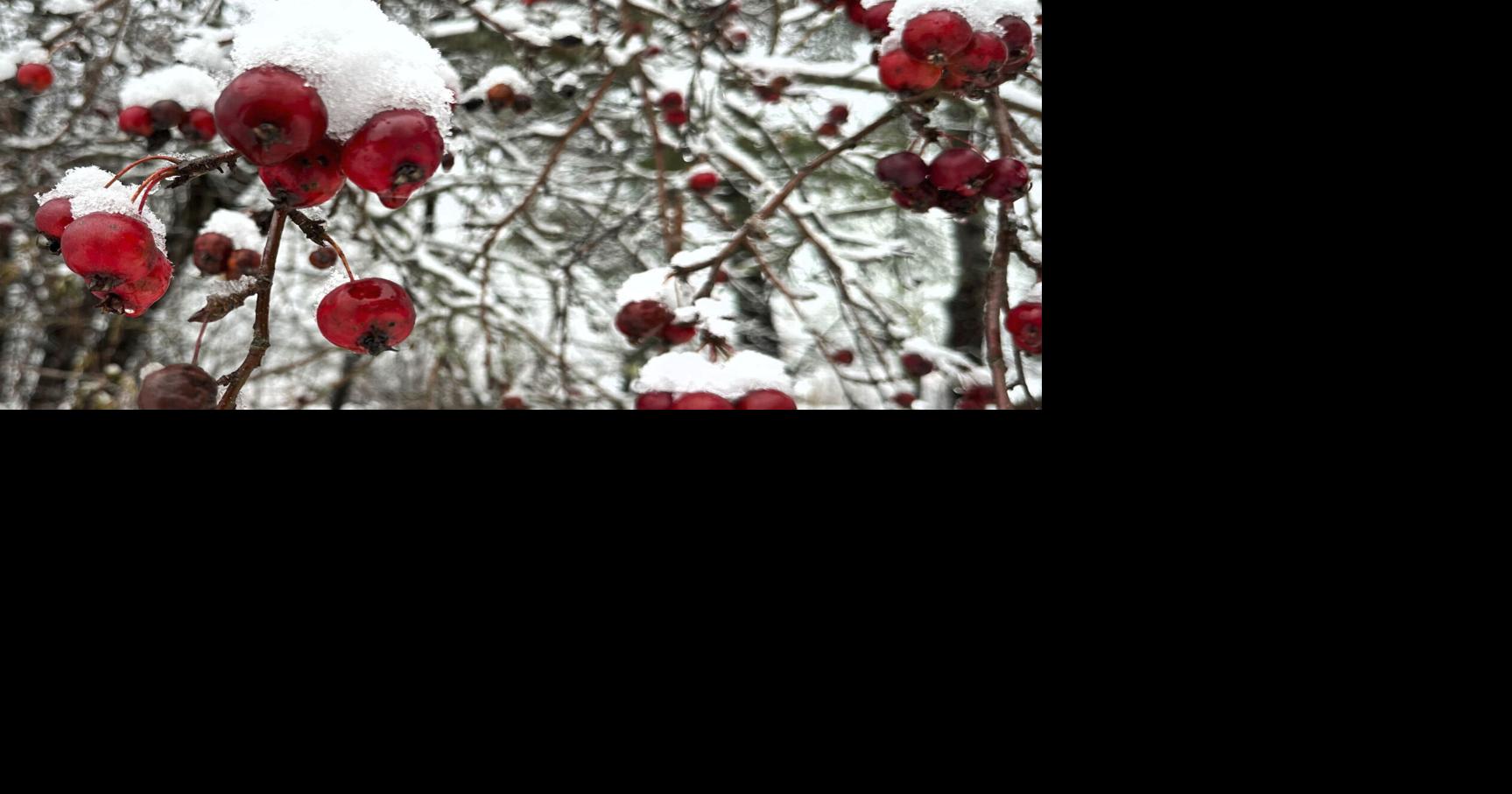 First day of winter 2023: 3 methods to define the 4 seasons