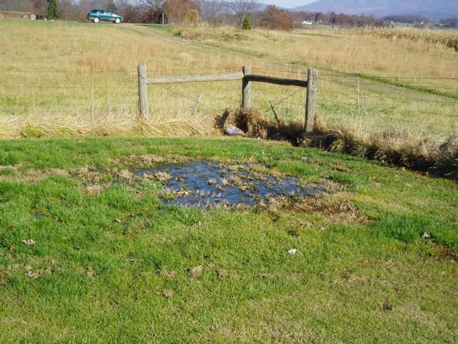 failingdrainfield.JPG