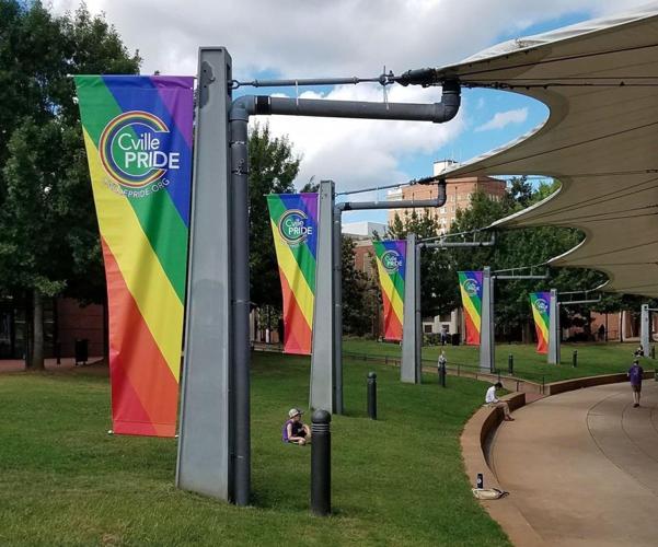 Charlottesville Pride Street Festival offers celebration, connections