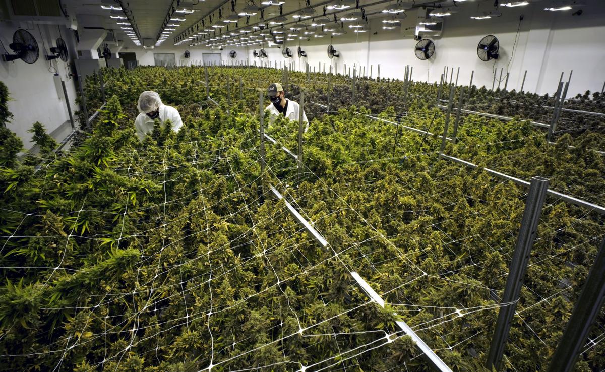 Gleaf Virginia lawmakers pass bills to legalize cannabis market