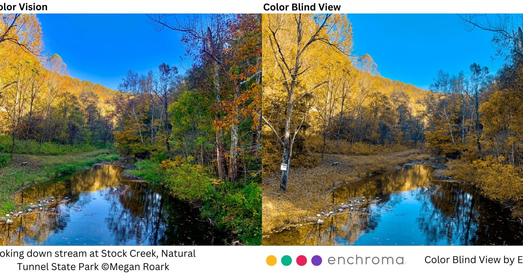 New viewfinder helps visitors with colorblindness enjoy Natural Tunnel State Park - Vimarsana News
