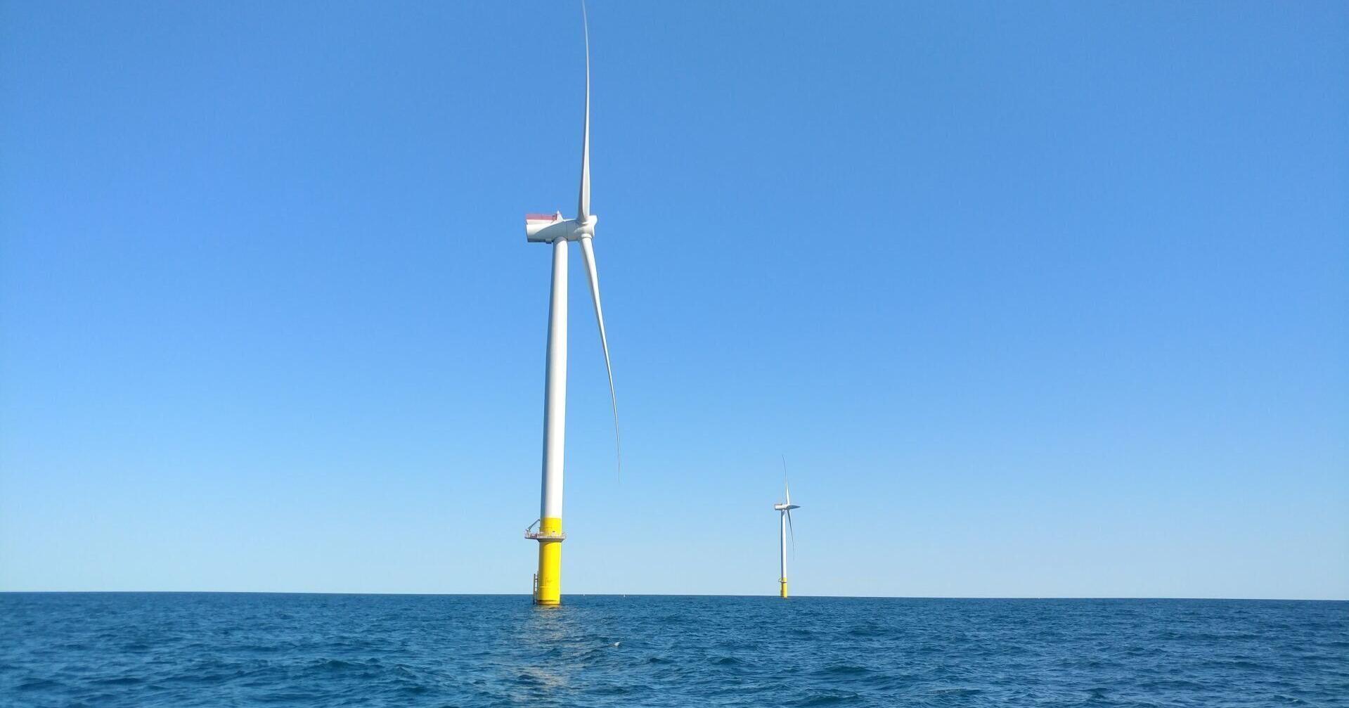 Virginia: 3 conservative groups challenge Dominion wind farm - Vimarsana News