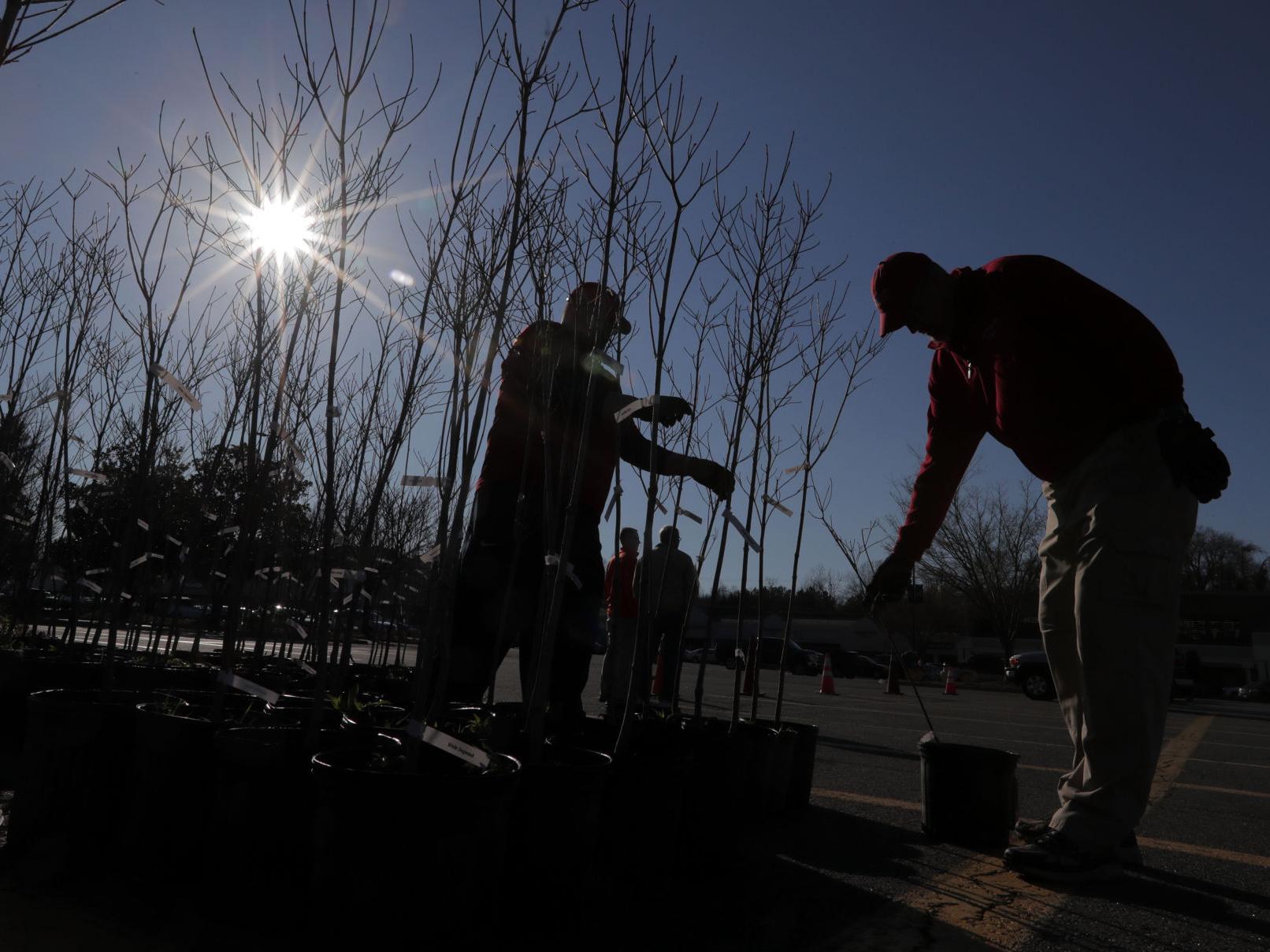 Charlottesville Dogwood Festival Launching Its 68th Year Of Events Local News Dailyprogress Com Dogwood Festival 2022 Charlottesville