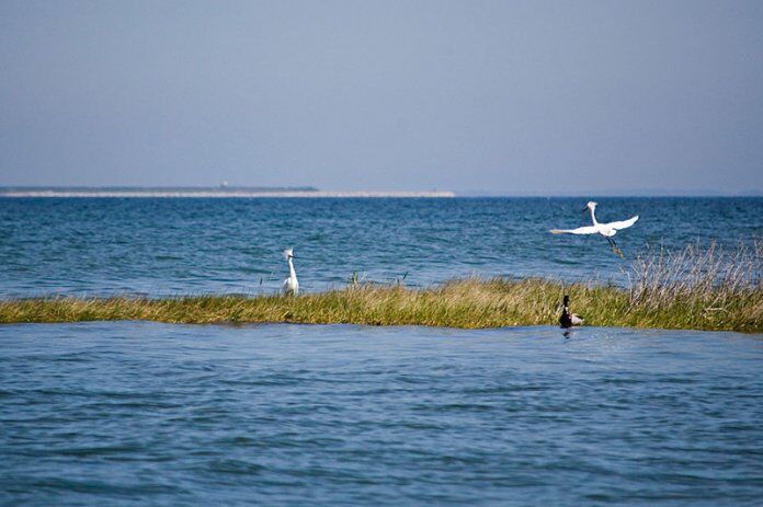 Chesapeake Bay