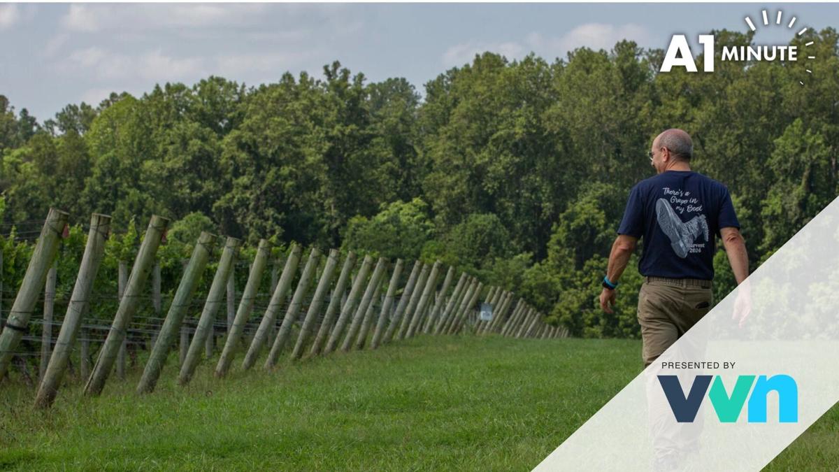 Mortgage rates likely to set pace for Charlottesville area's spring home sales