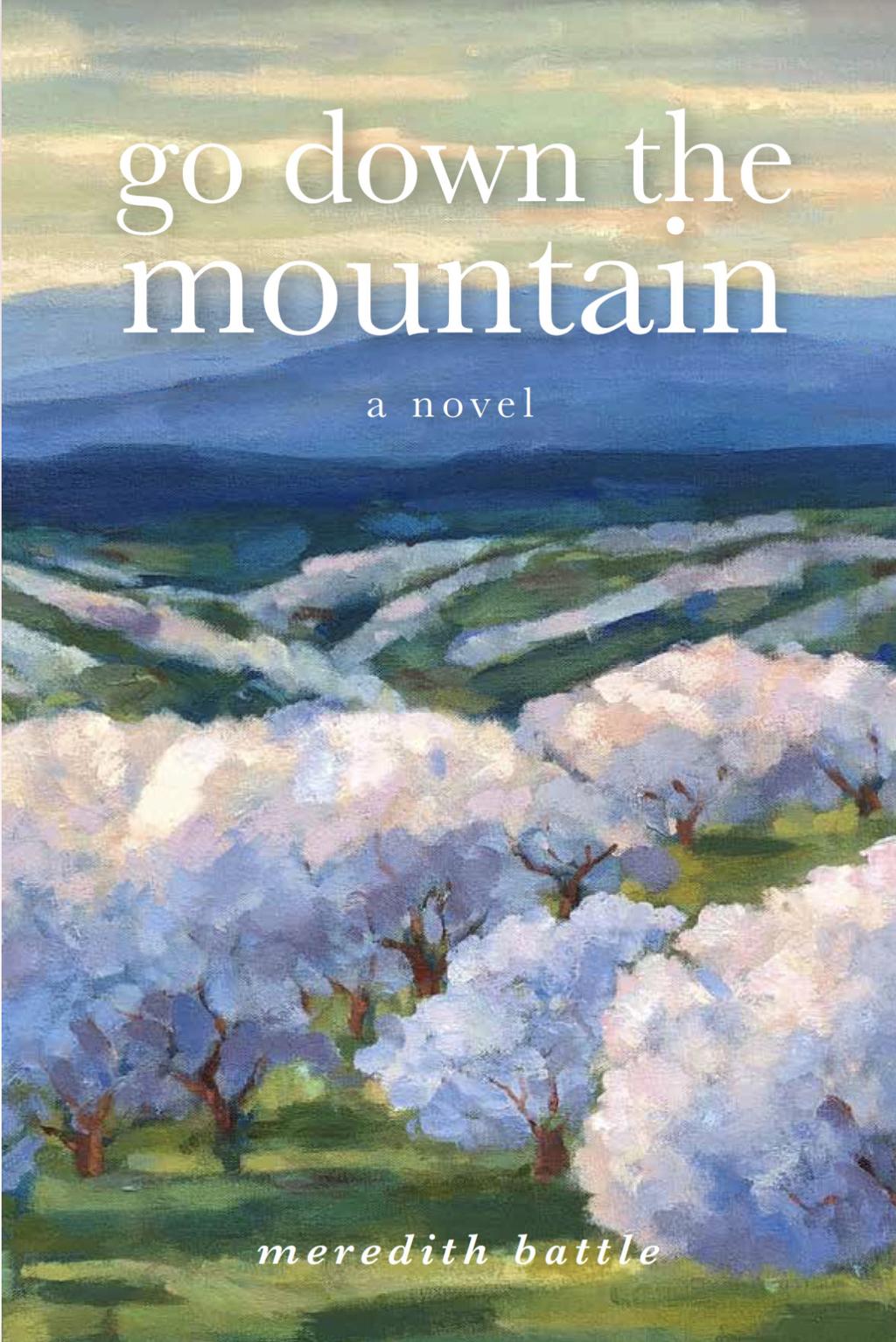 Book Seeks To Reclaim History Of Displaced Blue Ridge - 