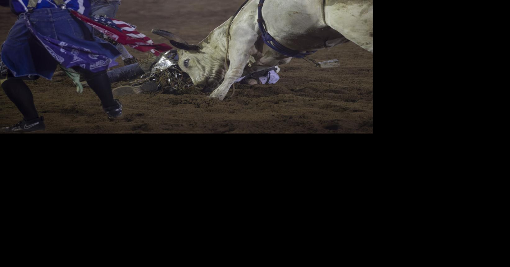 Photos Last rodeo of the season at Oakland Heights Farm