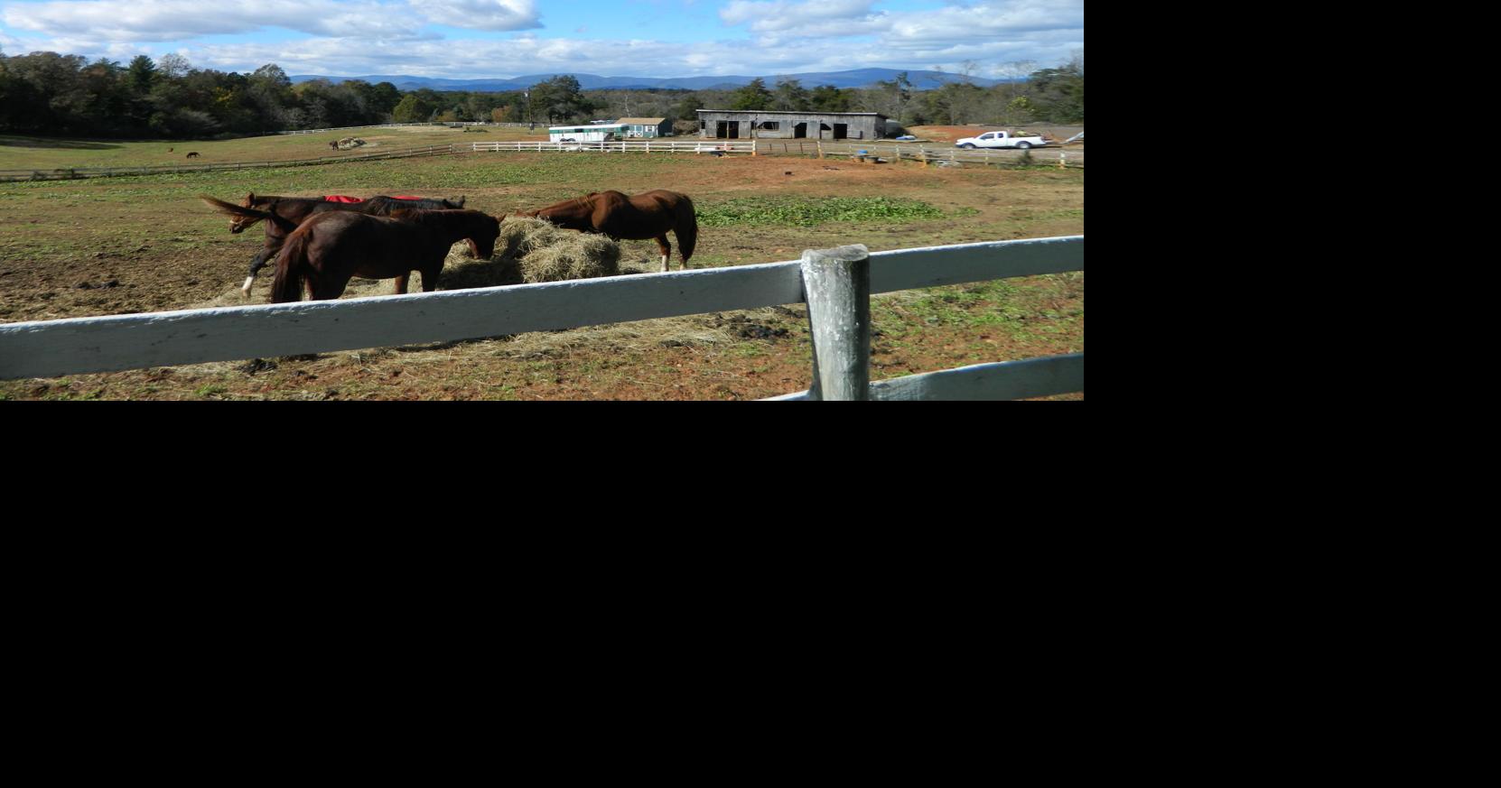 Ruckersville farm wins back pigs, pony seized by county