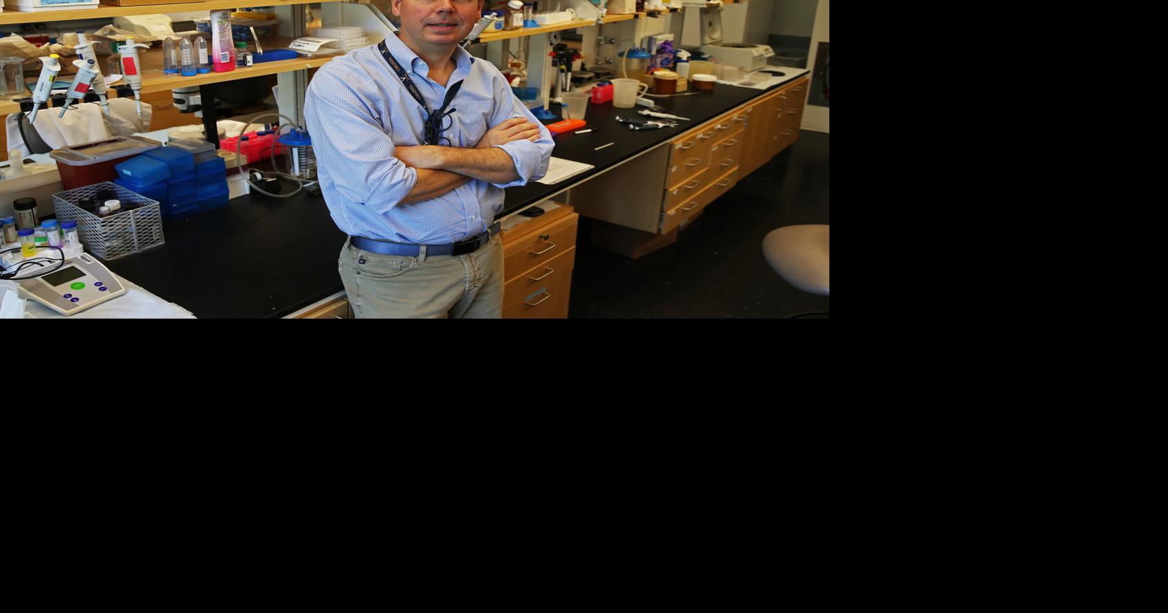 UVa study helps further understanding of red meat allergy caused by ticks