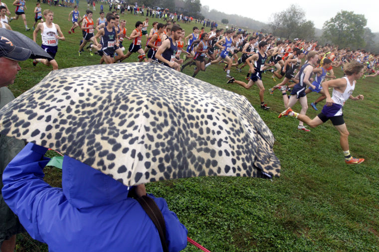 Albemarle Invitational cross country meet | Local News ...