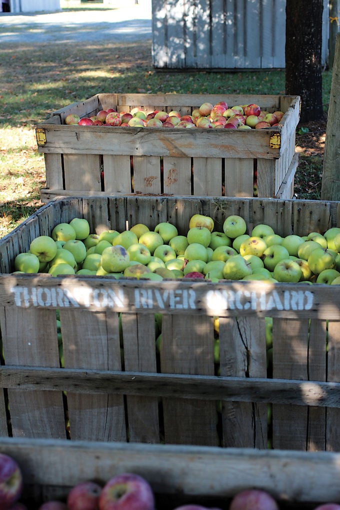 Graves' Mountain Lodge's 45th Apple Harvest Festival Entertainment