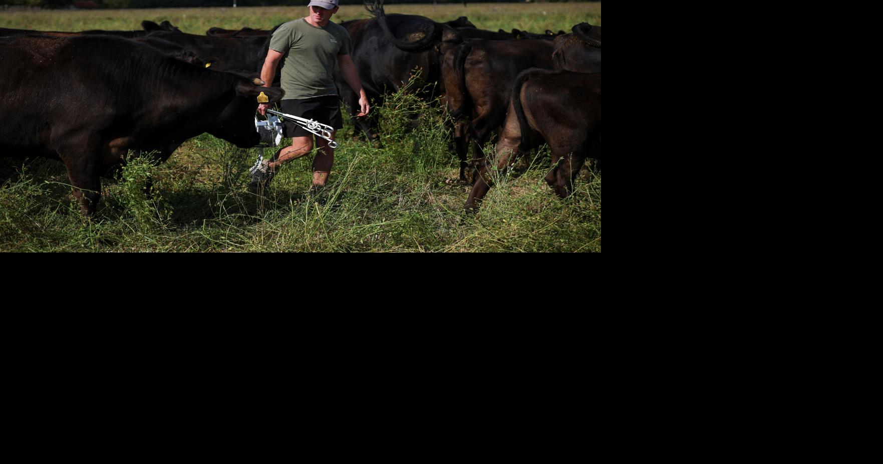 As Europe bakes, momentum grows for climate-resilient farming James Davey, Simon Jessop and Alexander Marrow Reuters Aug 23, 2026 25 mins ago