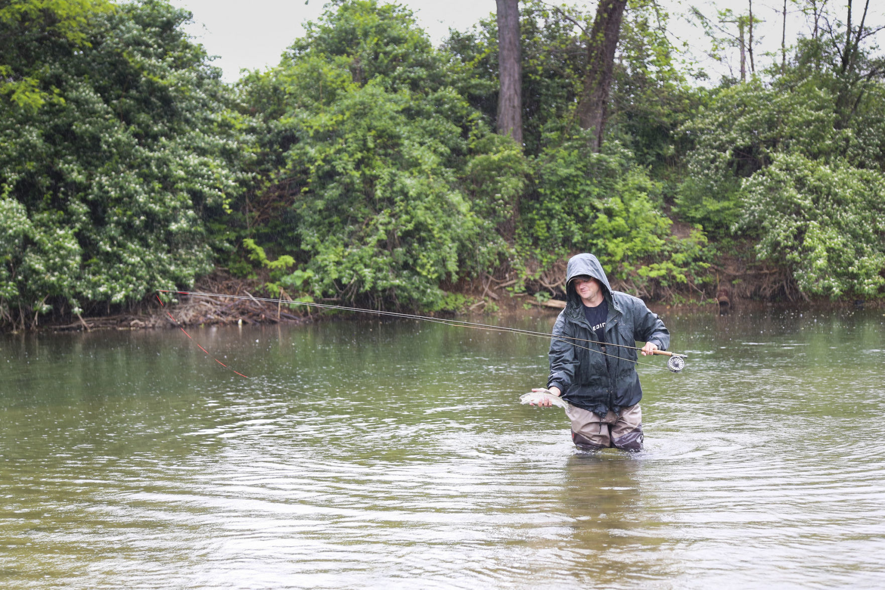 Opinion: Virginians Should Thank Clean Water Act For Fly-fishing ...