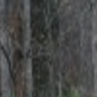 Yard Work Helps Raise Funds For Fluvanna Projects News Dailyprogress Com Poslednie tvity ot thomas ewald (@thomas_ew). the daily progress