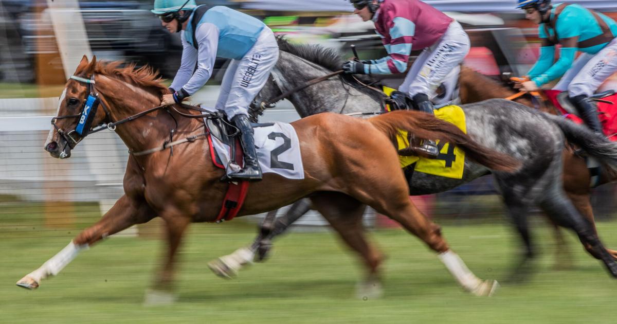 Foxfield introduces new stakes at Spring Races debuting this Saturday