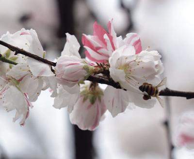 Tell Me Something Good: Spring has sprung