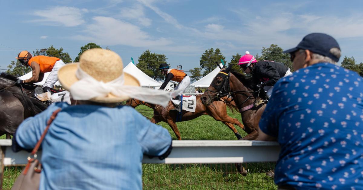 Foxfield Races Virginia Foxfield Races Fall Family Day attracts large crowd of spectators
