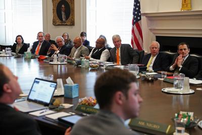 UVA BOV 2019