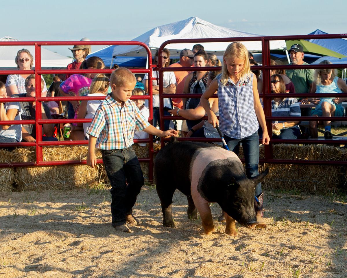 Greene Farm & Livestock Show opens next week