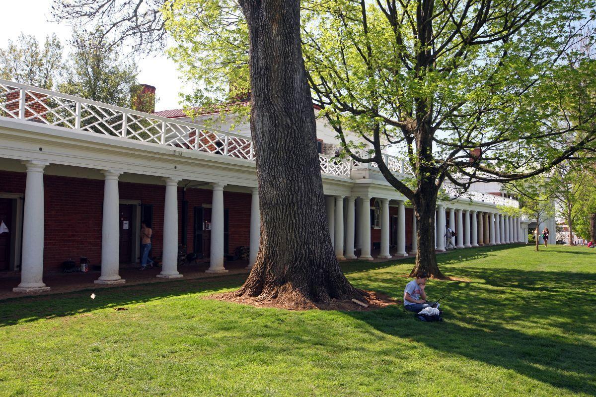 UVa Students