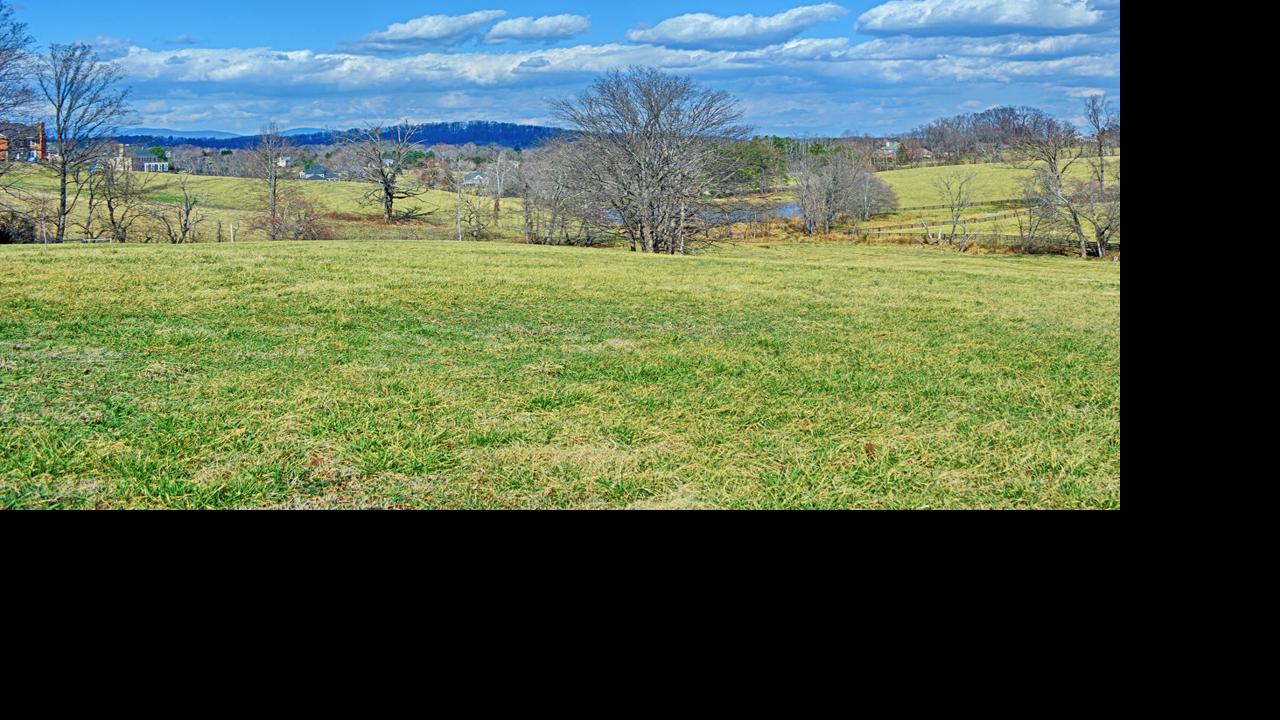 10 Questions To Ask Before Buying A Tract Of Land Sponsored Dailyprogress Com