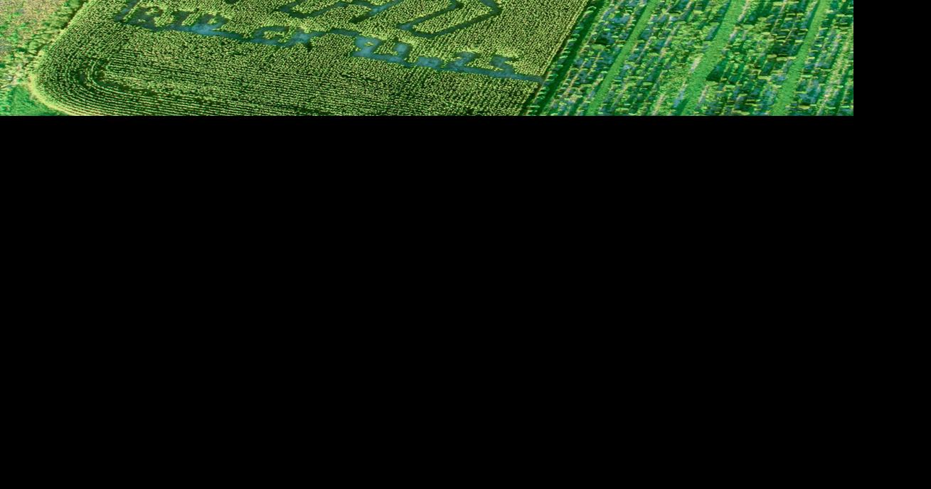 Indiana's Goebel Farms chooses Charlie Kirk image for corn maze Jon Webb USA Today Network Sep 4, 2026 Sep 4, 2026 Updated 1 hr ago