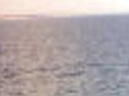 Saltwater Report Vast Schools Of Red Drum Archives Dailyprogress Com