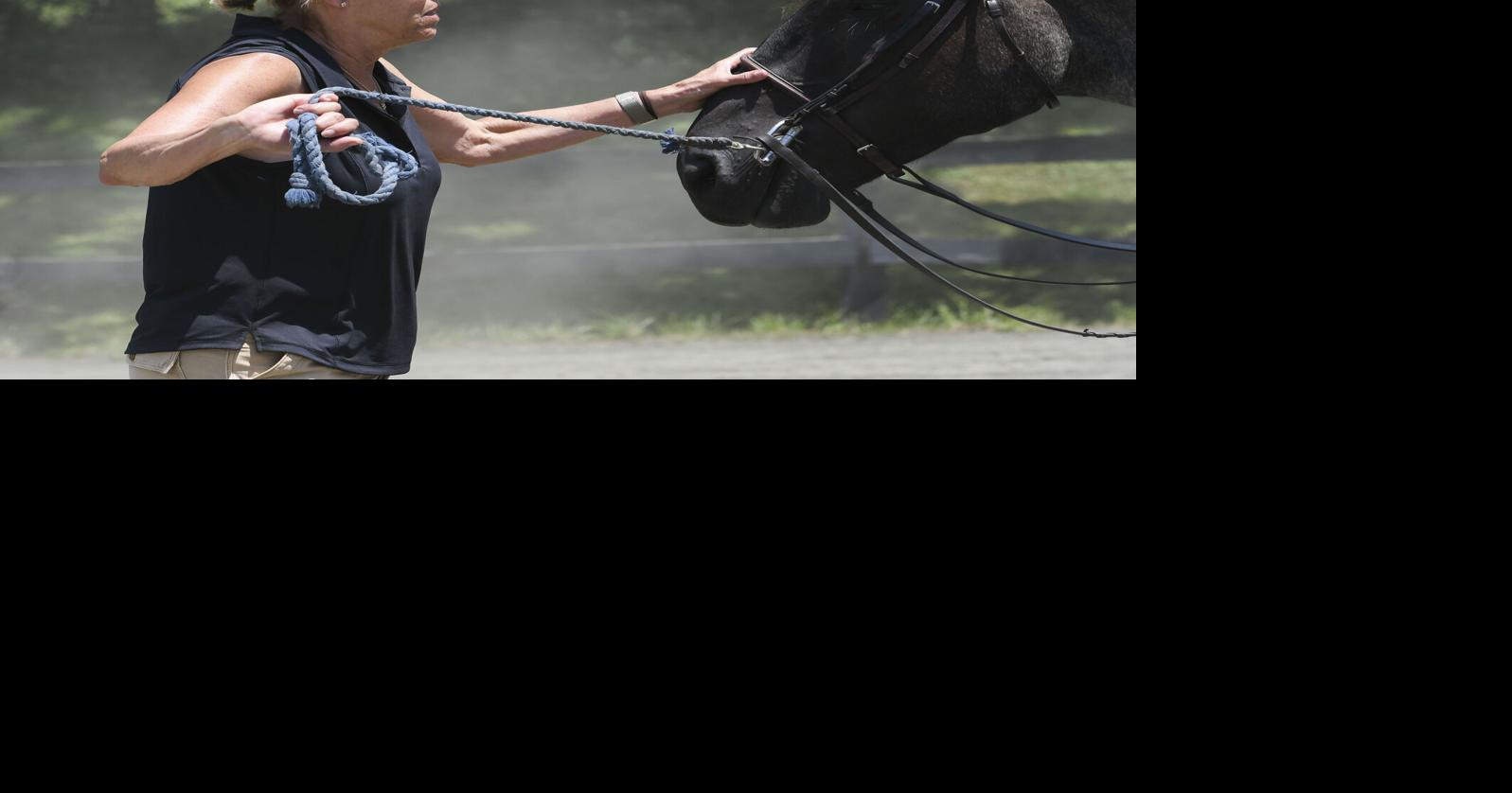 Virginia Thoroughbred Project provides aftercare to racehorses they don't always get