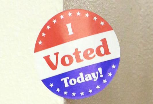 Election Day To See Crowded Ballots In Central Virginia Election Dailyprogress Com