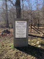 Judge rules against Stanardsville mayor, another resident, in Dogwood Valley case