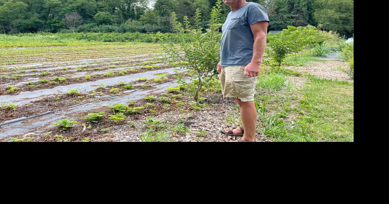 Berry Full Farm