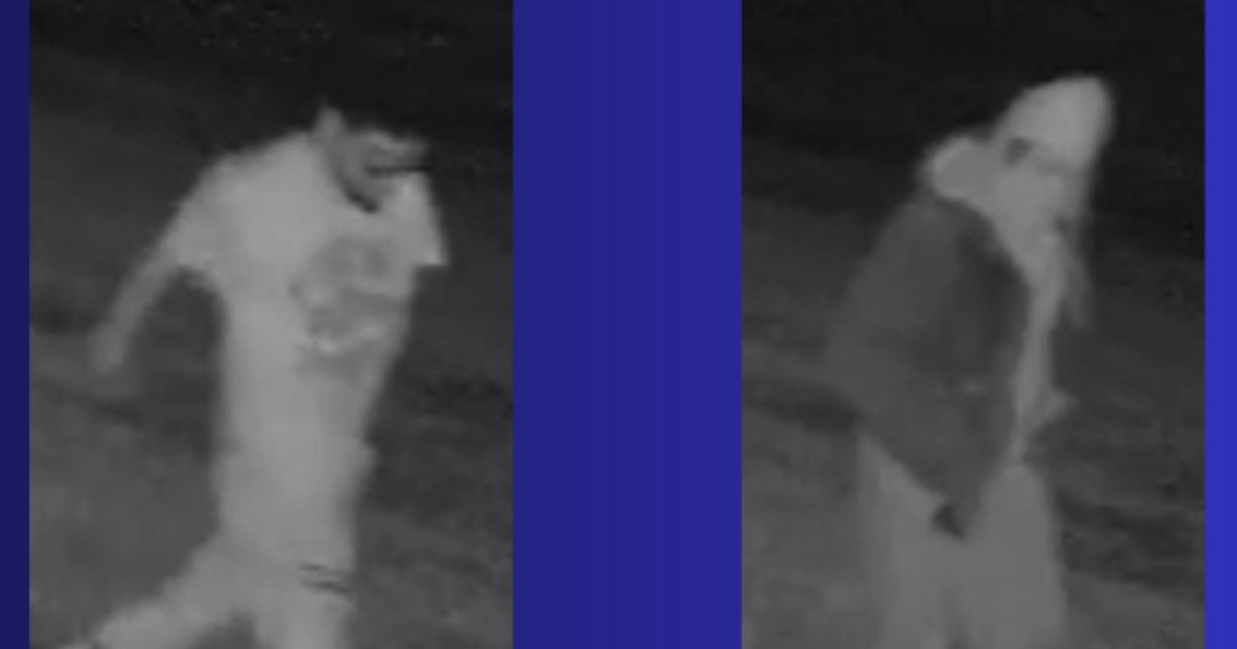 Men caught on camera stealing $14K worth of tools from Madison shop